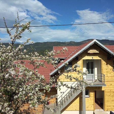 Tara Lake Apartments Jevtici Zewnętrze zdjęcie