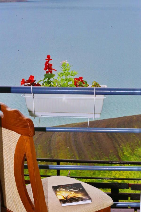 Tara Lake Apartments Jevtici Zewnętrze zdjęcie